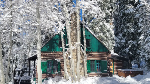 A cozy cabin with a green roof surrounded by snow-covered trees in a winter landscape.