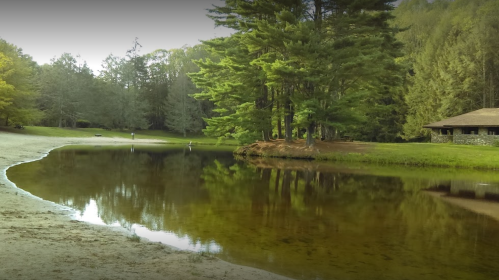 A serene landscape featuring a calm pond surrounded by lush trees and a rustic cabin in the background.