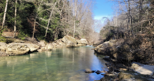 A serene river flows through a wooded area, surrounded by rocky banks and trees, under a clear blue sky.
