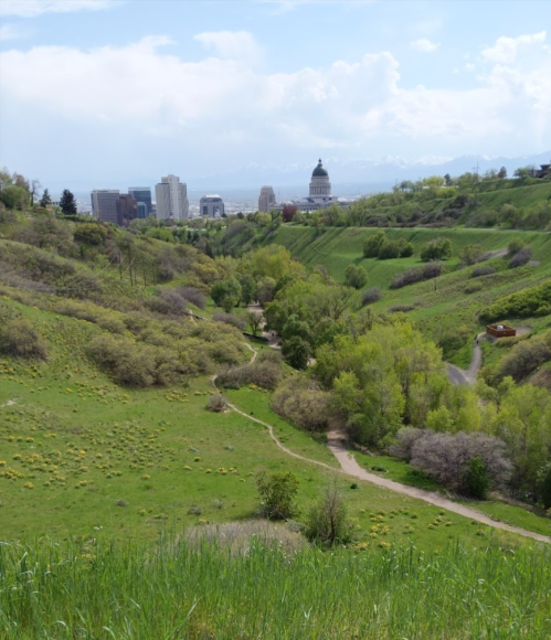A lush green valley with winding paths, leading to a city skyline and a prominent dome building in the background.