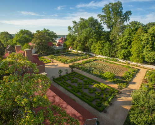 Aerial view of a lush garden with intricate patterns, surrounded by trees and buildings under a clear blue sky.
