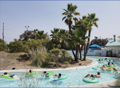 People relax on green inner tubes in a lazy river surrounded by palm trees and sunny skies.