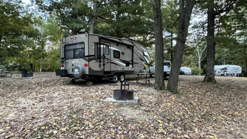 A camper parked in a wooded area, surrounded by trees and fallen leaves, with a picnic table and fire pit nearby.