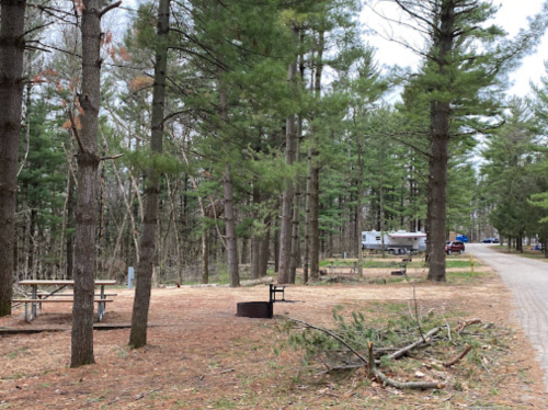 A wooded area with picnic tables, a fire pit, and a gravel road leading to a campsite with an RV in the background.