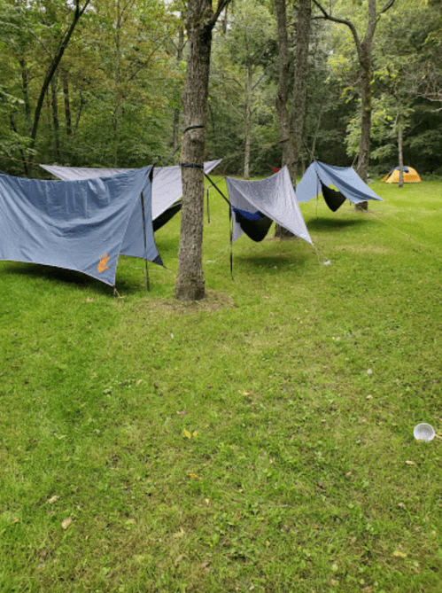 Tents and tarps set up between trees in a grassy campsite surrounded by trees.