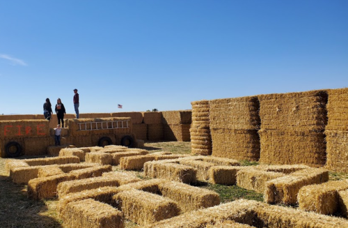 A sunny outdoor scene with people on hay bales, surrounded by stacks of hay in a maze-like arrangement.