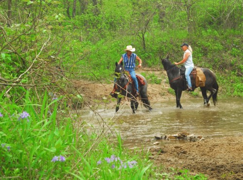 Two riders on horseback crossing a shallow stream, surrounded by lush greenery and wildflowers.