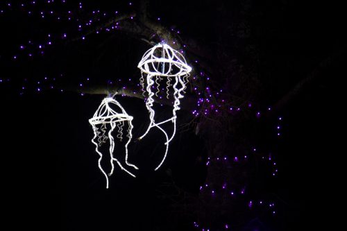 Two illuminated jellyfish decorations hanging from a tree, surrounded by purple fairy lights in a dark setting.
