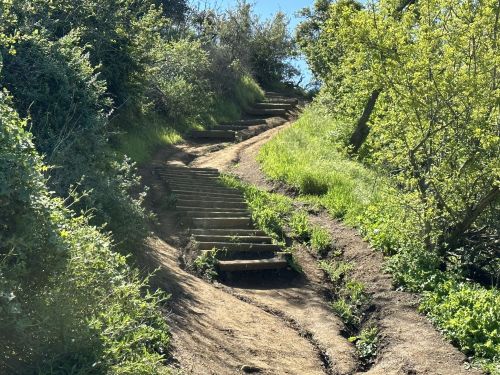 A winding dirt path with wooden steps surrounded by greenery and trees under a clear blue sky.