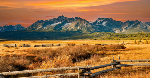 A golden meadow sits at the base of the Sawtooth Mountains at sunset in autumn.