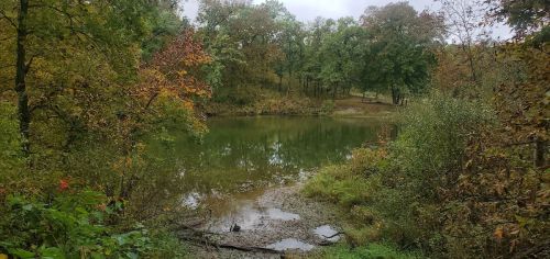 A serene pond surrounded by trees with autumn foliage, reflecting a cloudy sky.