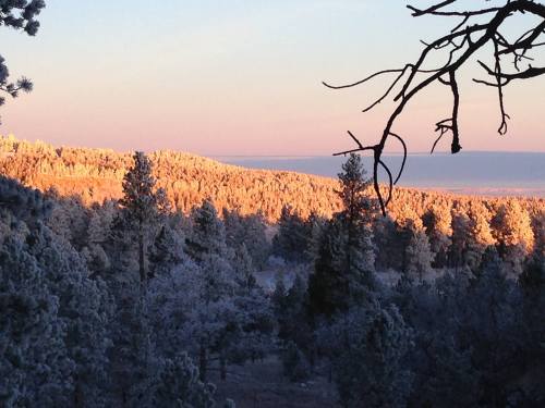 A snowy landscape at sunrise, with frosted trees and a soft pink and orange sky in the background.