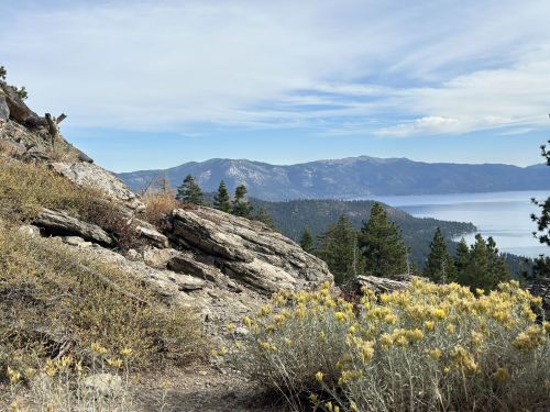 Scenic view of mountains and a lake, with rocky terrain and yellow wildflowers in the foreground under a blue sky.