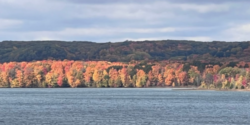Vibrant autumn trees line the shore of a calm lake, reflecting colorful foliage under a cloudy sky.
