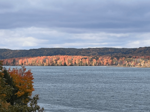 A serene lake surrounded by trees displaying vibrant autumn colors under a cloudy sky.