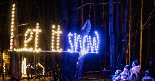 A group of people in winter clothing admire a glowing "Let it snow" sign made of lights in a dark forest.