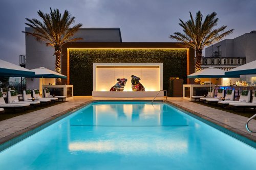 Rooftop pool area with palm trees, lounge chairs, and a vibrant mural of two dogs on a green wall.