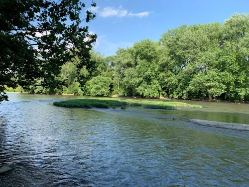 A serene river scene with lush green trees lining the banks and a small island in the water under a clear blue sky.