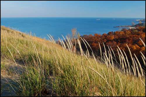 A grassy dune overlooks a calm blue lake, with autumn trees in the background and a clear sky above.