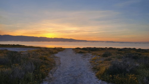 A serene landscape at sunset, featuring a sandy path leading to a calm body of water and distant mountains.