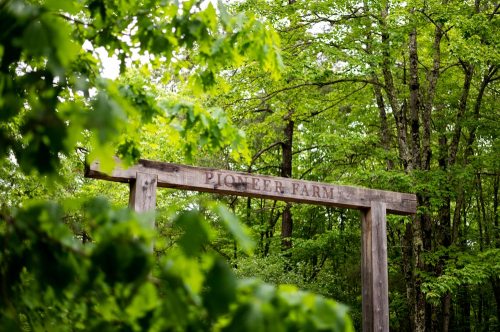 A wooden sign reading "Pioneer Farm" surrounded by lush green trees and foliage.