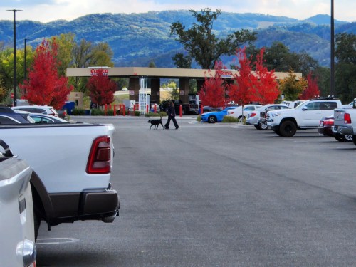 A person walks a dog through a parking lot with red trees and mountains in the background.
