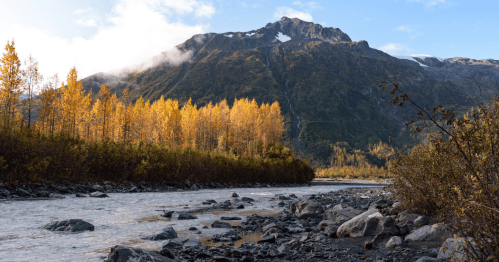 A serene river flows through a valley with golden autumn trees and a majestic mountain in the background.