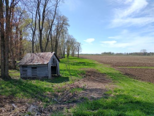 A weathered shed sits beside a green field, with trees lining the horizon under a blue sky with scattered clouds.