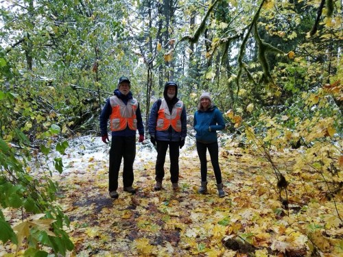 Three people in bright vests stand on a leaf-covered forest floor, surrounded by trees with autumn foliage and snow.