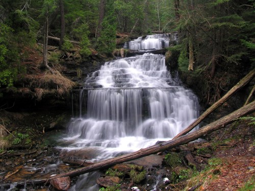 A serene waterfall cascades down rocky steps, surrounded by lush green trees and foliage in a tranquil forest setting.