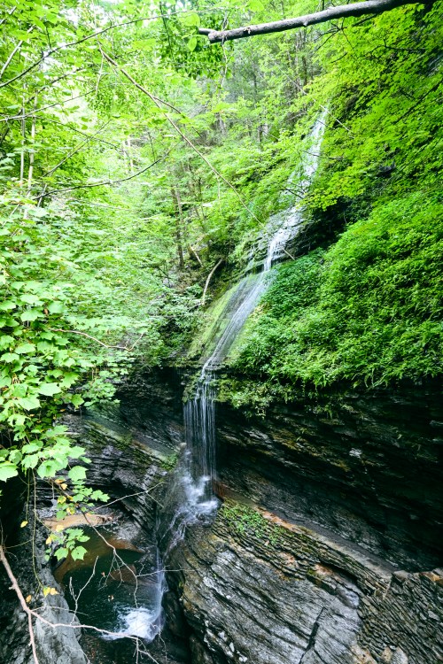 A serene waterfall cascades down rocky cliffs, surrounded by lush green foliage in a tranquil forest setting.