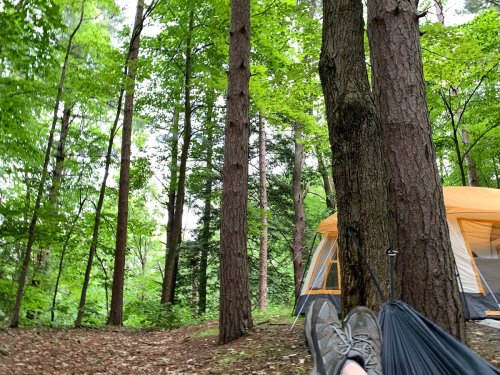 A person relaxes in a hammock among tall trees, with a tent visible in the background in a lush green forest.