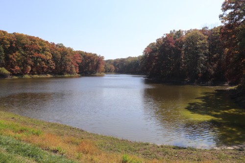 A serene lake surrounded by trees with autumn foliage, reflecting a clear blue sky.