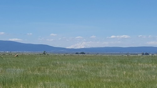 A vast green field stretches under a clear blue sky, with distant mountains capped in snow on the horizon.