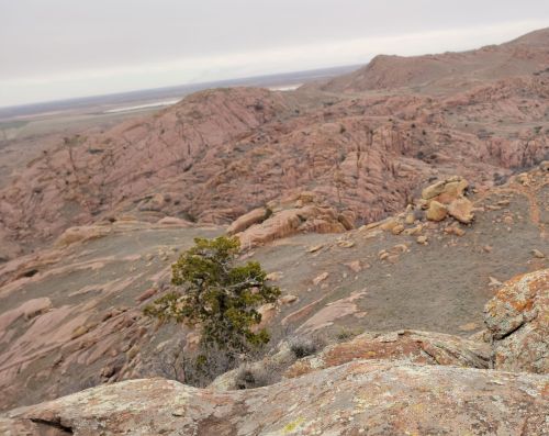 A rocky landscape with rugged hills and a lone tree, under a cloudy sky.
