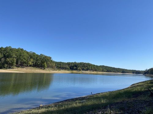 A serene lake surrounded by lush green trees under a clear blue sky.