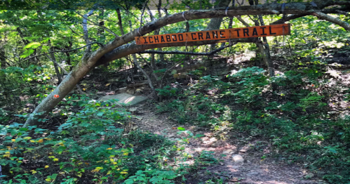 Sign for Ichabod Crane Trail arching over a wooded path surrounded by lush greenery.