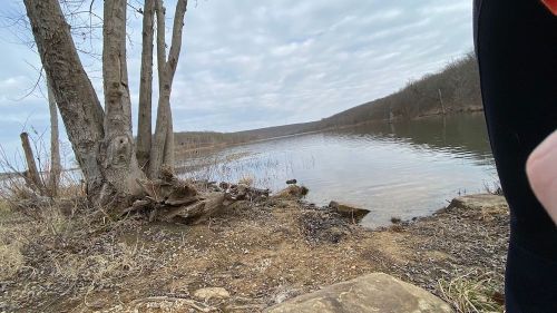A serene lakeside view with trees, a rocky shore, and calm water under a cloudy sky.