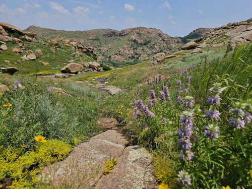 A scenic landscape featuring a stream surrounded by vibrant wildflowers and rolling hills under a blue sky.