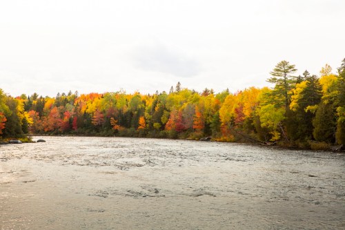 A serene river flows through a vibrant forest of autumn-colored trees in shades of red, orange, and yellow.