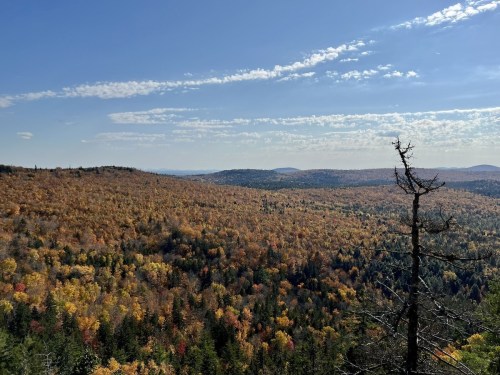 A panoramic view of a colorful forest in autumn, with rolling hills and a clear blue sky dotted with clouds.