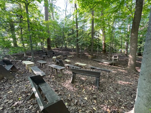 A wooded area with several wooden benches and tables scattered among the trees, surrounded by fallen leaves.