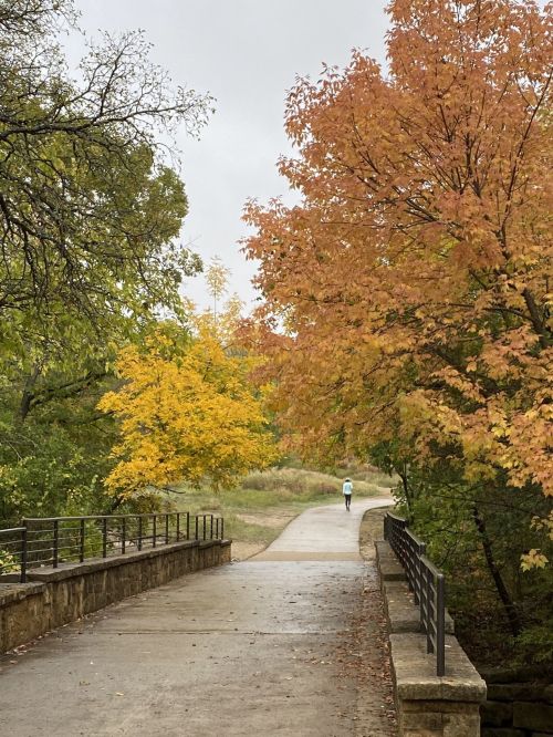 A scenic pathway lined with vibrant autumn trees, with a person walking in the distance under a cloudy sky.