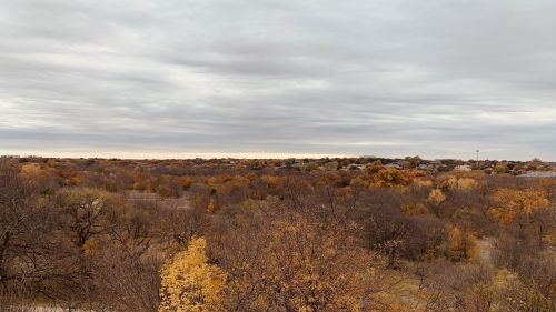 A panoramic view of a landscape with autumn foliage under a cloudy sky.