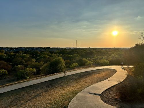 A winding path through greenery at sunset, with a warm glow illuminating the landscape.