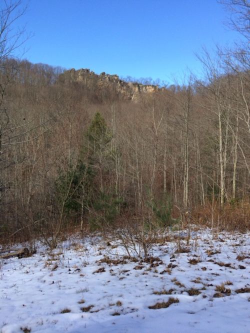 A snowy landscape with sparse trees and a rocky cliff in the background under a clear blue sky.