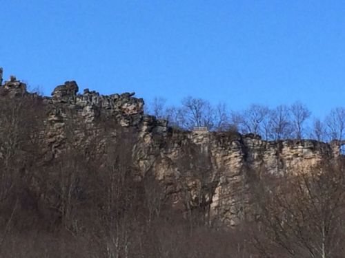 Rocky cliffside with sparse trees against a clear blue sky.
