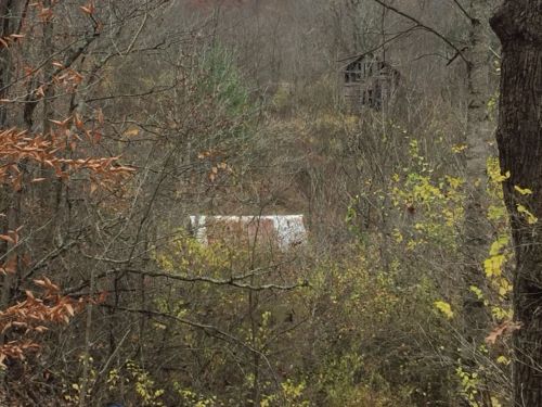 A wooded area with bare trees and a glimpse of a white structure in the distance, partially obscured by foliage.