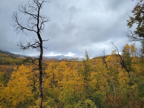A scenic view of a valley filled with vibrant autumn foliage under a cloudy sky, with distant mountains visible.