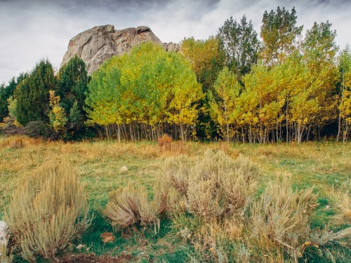 A rocky outcrop rises behind a grove of vibrant green and yellow trees, with grassy and shrub-covered ground in the foreground.
